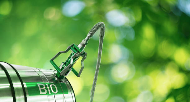 Eco-friendly biofuel production