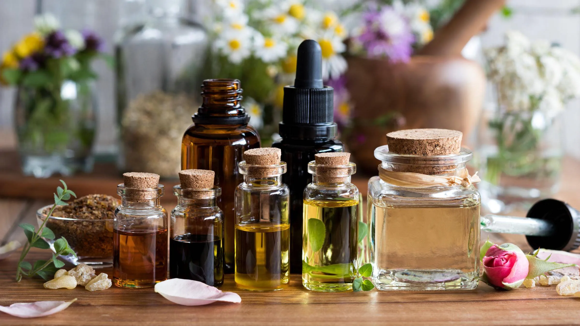 Essential oil extraction from Mount Kenya plants